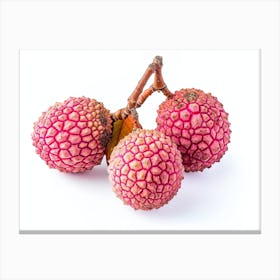 Lychee Fruit 20 Canvas Print