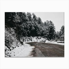 Snowy Road Canvas Print