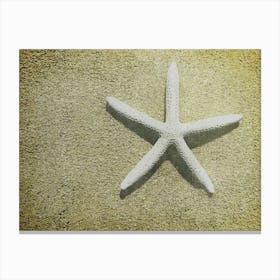 Starfish On The Beach Canvas Print