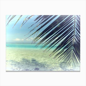 Palm Tree On The Beach Ocean View Canvas Print
