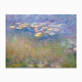 Water Lilies 1 Canvas Print