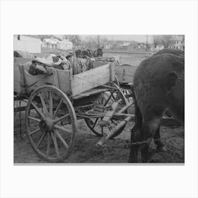 Detail Of Mule Hitched To A Muddy Wagon, Eufaula, Oklahoma By Russell Lee Canvas Print