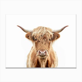 Highland Cow 1 Canvas Print