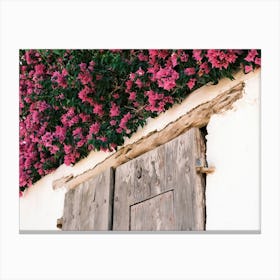 Old wooden door with Pink flowers in Eivissa // Ibiza Travel Photography Canvas Print