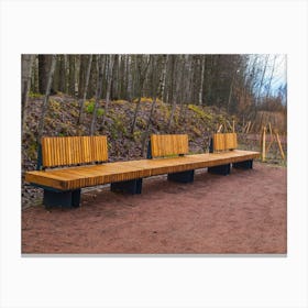 Benches In The Woods Canvas Print