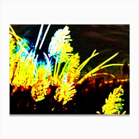 Grasses At Night Canvas Print