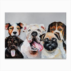 Company Of Dogs Animal Painting Canvas Print