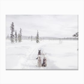Sled Dogs Canvas Print