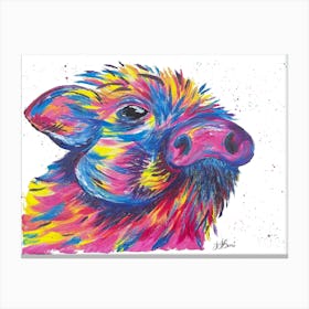 Colorful Pigglet pig Canvas Print