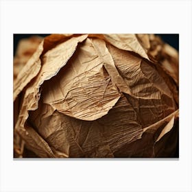 Crinkled Paper Featuring An Array Of Textured Patterns And Pronounced Creases Macro Photography Hi Canvas Print