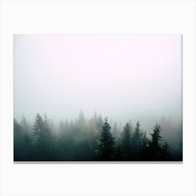 Hazy Fog Covered Woodland Canvas Print