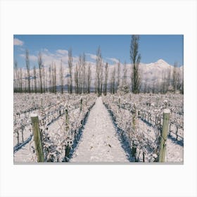 Unitltled 22 - Snow in the Vineyard Series Canvas Print