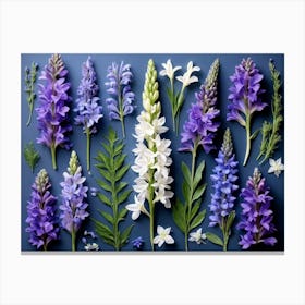 Nature Pattern Isolate White Arrangement Purple Flat Floral Blue Natural Herbal Medicine (2) 2 Canvas Print