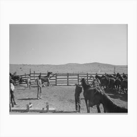Cowboys Roping And Saddling Horses, Corral At Ranch Near Marfa, Texas By Russell Lee 1 Canvas Print