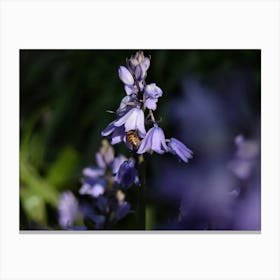 Bee On Bluebells Stampe su tela