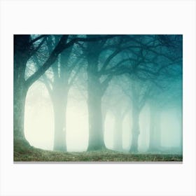 Foggy Forest 2 Canvas Print