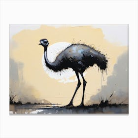 Early morning bird Ostrich in africa Canvas Print