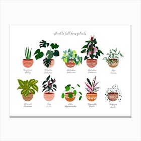 Easy House Plants Canvas Print