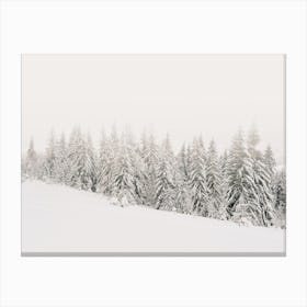 Minimalist Winter Forest Canvas Print