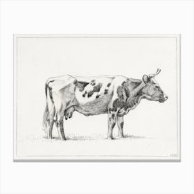 Standing Cow, Jean Bernard Canvas Print