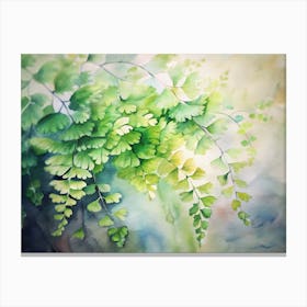 Watercolor Of Ferns Canvas Print