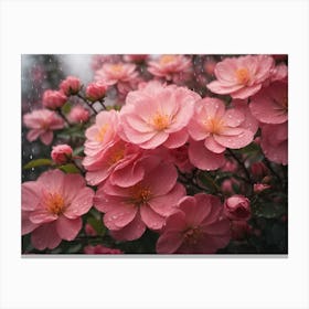 Pink Flowers In The Rain Canvas Print