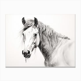 A Horse Oil Painting In Grace Bay Beach Turks And Caicos Islands, Landscape 3 Canvas Print