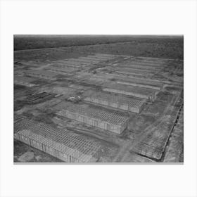 Untitled Photo, Possibly Related To Migrant Camp Under Construction, Sinton, Texas By Russell Lee Canvas Print
