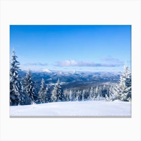 An Abstract Winter Landscape Under A Bright Sunny Sky Freshly Fallen Snow Draping White Iced Trees (3) Canvas Print