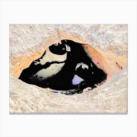 Penguins In A Hole (Africa Series) Canvas Print