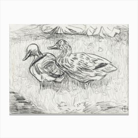 Two Ducks (1873–1917), Theo Van Hoytema Canvas Print