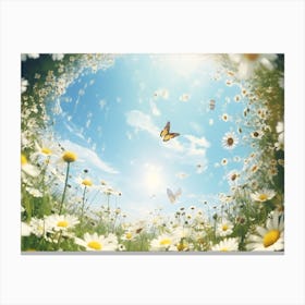 Daisy Field 4 Canvas Print