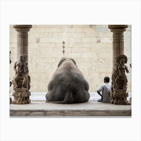 The Elephant And Its Mahot Canvas Print