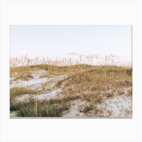 Gulf Dunes Canvas Print