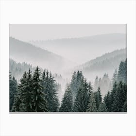 Misty Forest Mountains Canvas Print