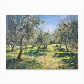 Olive Grove 6 Canvas Print