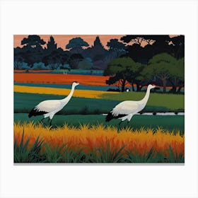 Cranes In The Field Canvas Print