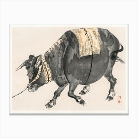 Black Bull, Kōno Bairei Canvas Print
