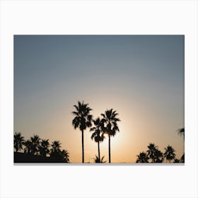 Silhouette Of Palm Trees At Sunset Canvas Print