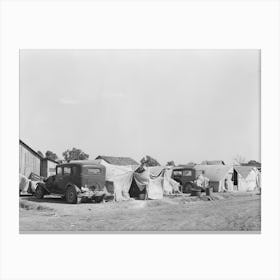 Migrant Camp, Weslaco Texas, Local Employment Men Say That There Was No Need For Migrant Labor To Handle The Canvas Print