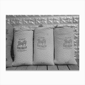 Chicken Feed, Flour And Other Bulky Products Are Now Bagged In Printed Cotton Materials For Use As Dress Canvas Print