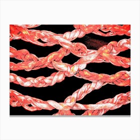 Red Ropes Canvas Print