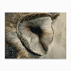 Barn Owl 20 Canvas Print