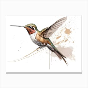 Kolibri Hummingbird - Water Color Painting 2 Canvas Print