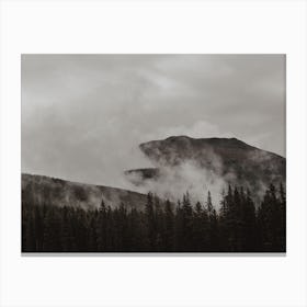 Foggy Forest Views Canvas Print