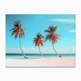 Three Palm Trees On The Beach Canvas Print