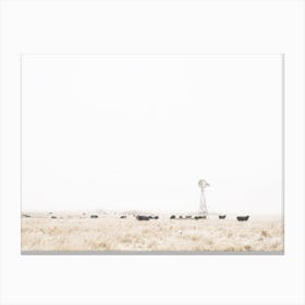 Midwest Cattle Ranch Canvas Print