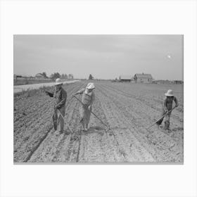 New Madrid County, Missouri, Sharecropper Family Cultivating Cotton, Southeast Missouri Farms By Russell Canvas Print