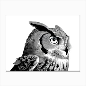 Black & White Owl Portrait Canvas Print