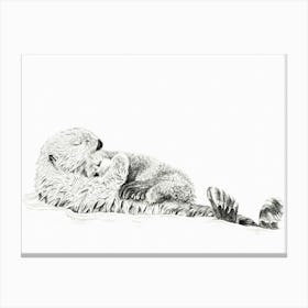 Mother Otter With Her Cub Canvas Print